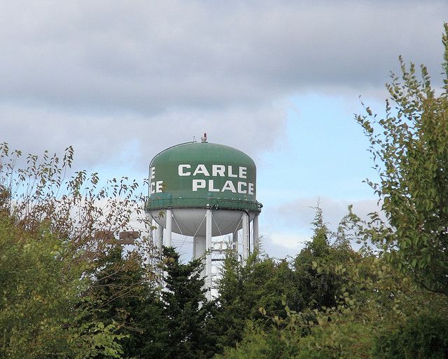 Carle Place Let's Go Frogs!